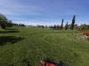 20220609_103557b.jpg (5095381 bytes)