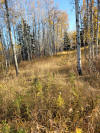 20221018_104111a.jpg (6770590 bytes)