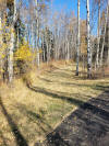 20221018_132506b.jpg (6457838 bytes)