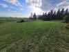 20230529_193445b.jpg (3418363 bytes)