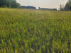 20230803_184716a.jpg (4976952 bytes)
