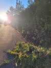20230922_185502b.jpg (3667069 bytes)