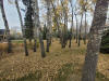 20221014_110402.jpg (6145535 bytes)