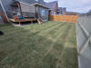 backyard3.jpg (5413761 bytes)