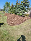 mulch2.jpg (6168669 bytes)